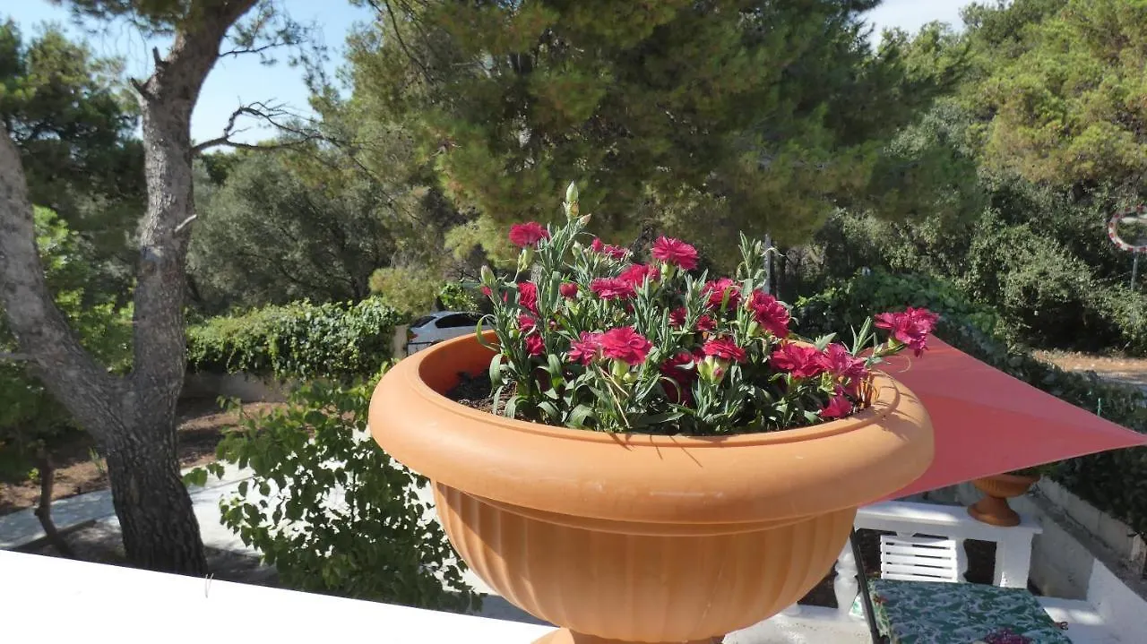 Two-Room Apartment Lidija With Terrace And Parking Donji Okrug