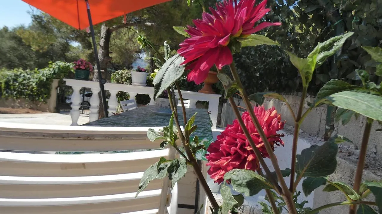 Two-Room Apartment Lidija With Terrace And Parking Donji Okrug   Donji Okrug (Ciovo)